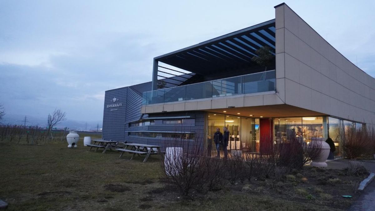 エスターハージーワイナリー外観