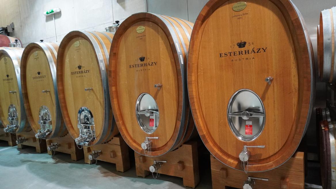 エスターハージーワイナリー内観