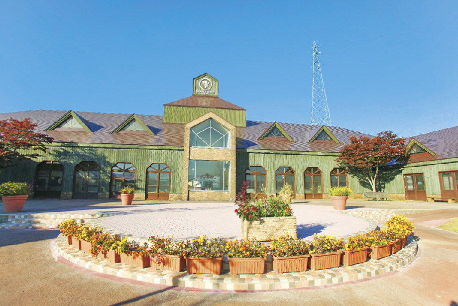 館内にはショップや地下貯蔵庫のほか、ワイン造りの解説展示なども