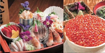 札幌で夜ごはんに迷ったらここ！ 絶品海鮮居酒屋5店　【北海道旅行】