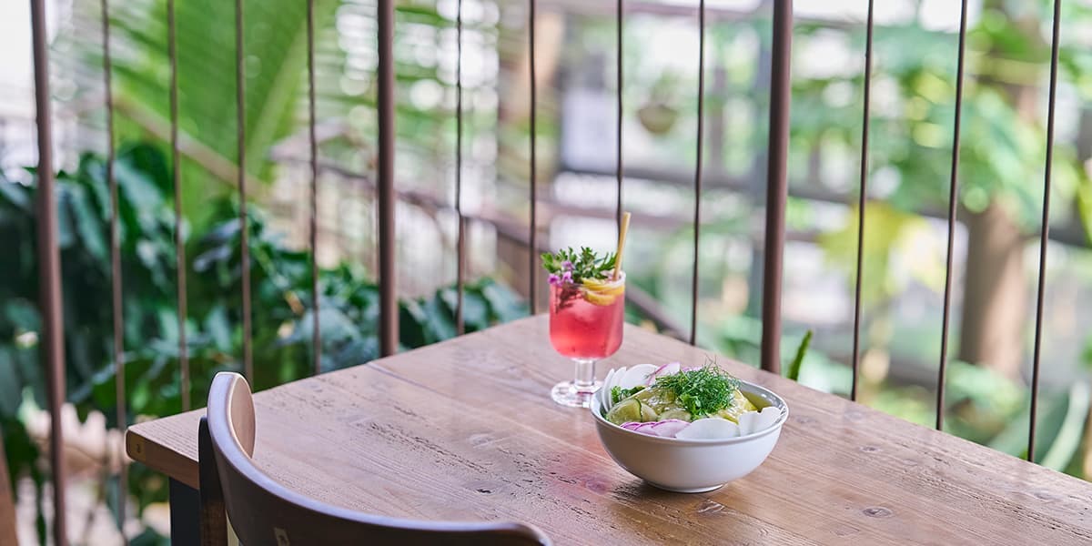 【渋谷区ふれあい植物センター】日本一小さな植物園で、雨の日も癒やしのひとときを