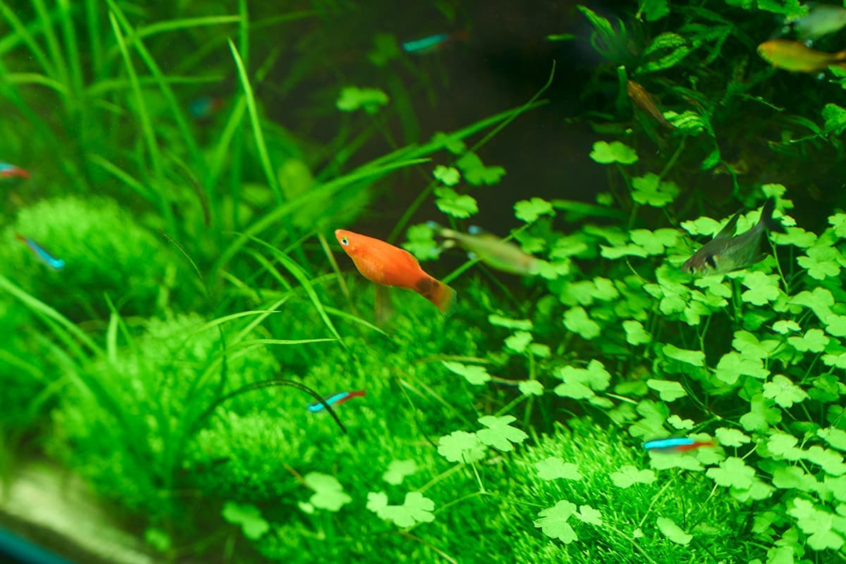 生き物の息吹と自然の循環を体感してみよう