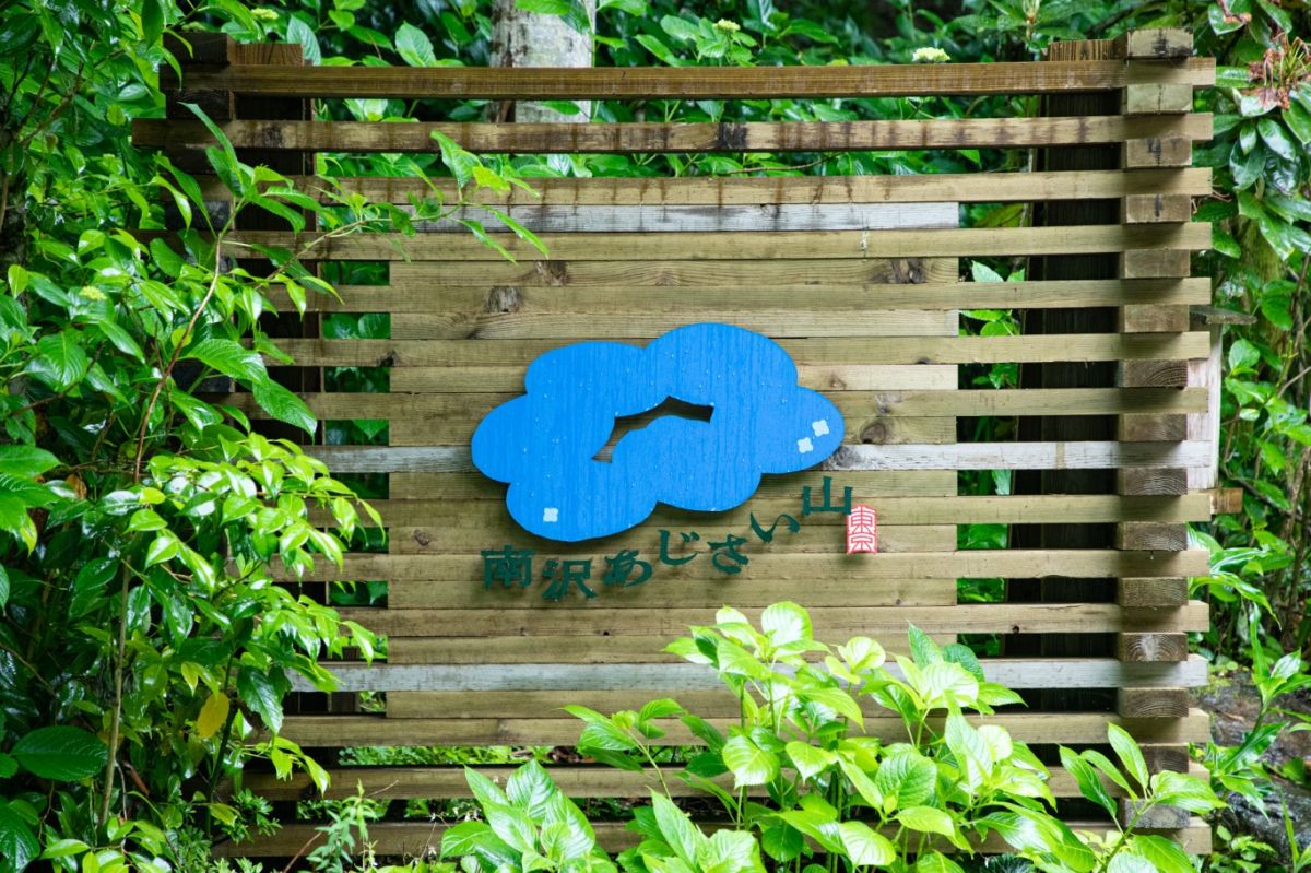 2017年に「南沢あじさい山」として開山