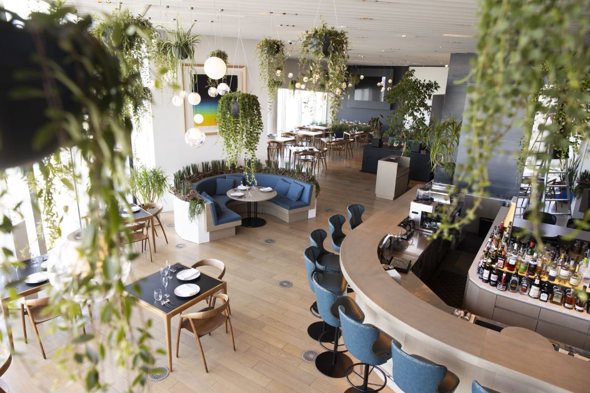 THE SUN & THE MOON (Restaurant)内観