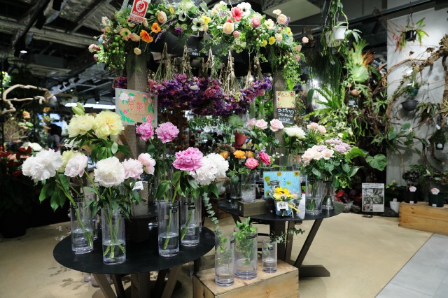 gardens umekita by Kohnan