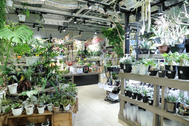 gardens umekita by Kohnan