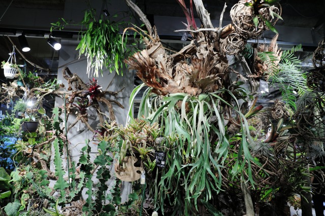 gardens umekita by Kohnan