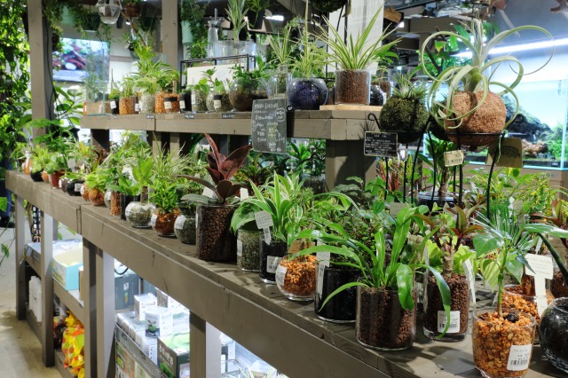 gardens umekita by Kohnan