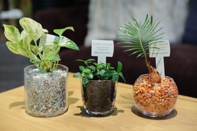 gardens umekita by Kohnan