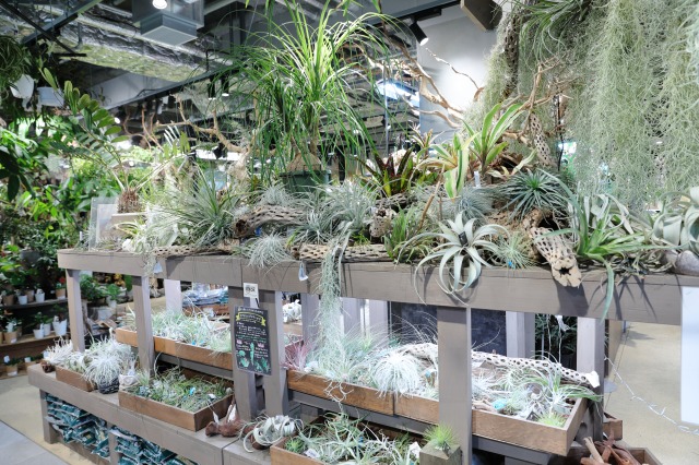 gardens umekita by Kohnan