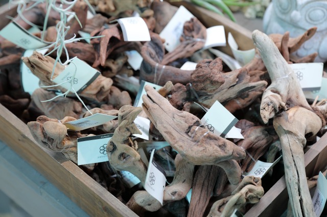 gardens umekita by Kohnan