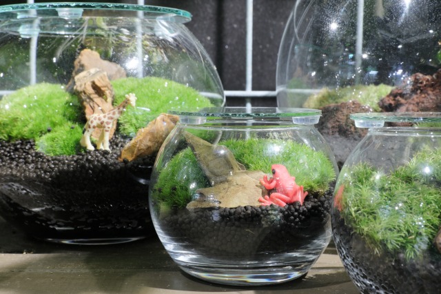 gardens umekita by Kohnan