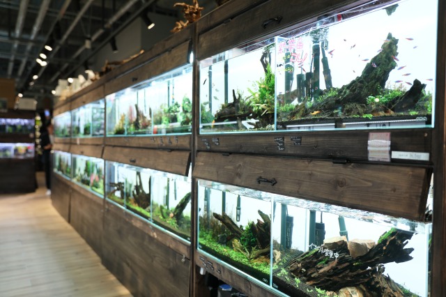 gardens umekita by Kohnan