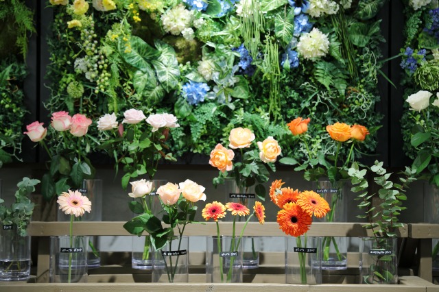 gardens umekita by Kohnan