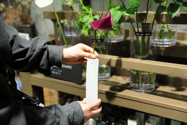 gardens umekita by Kohnan