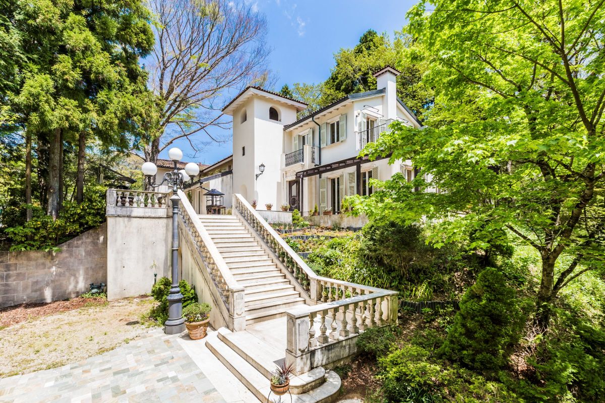 アルベルコバンブー