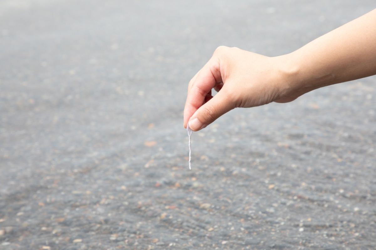 御前ヶ浜で占い