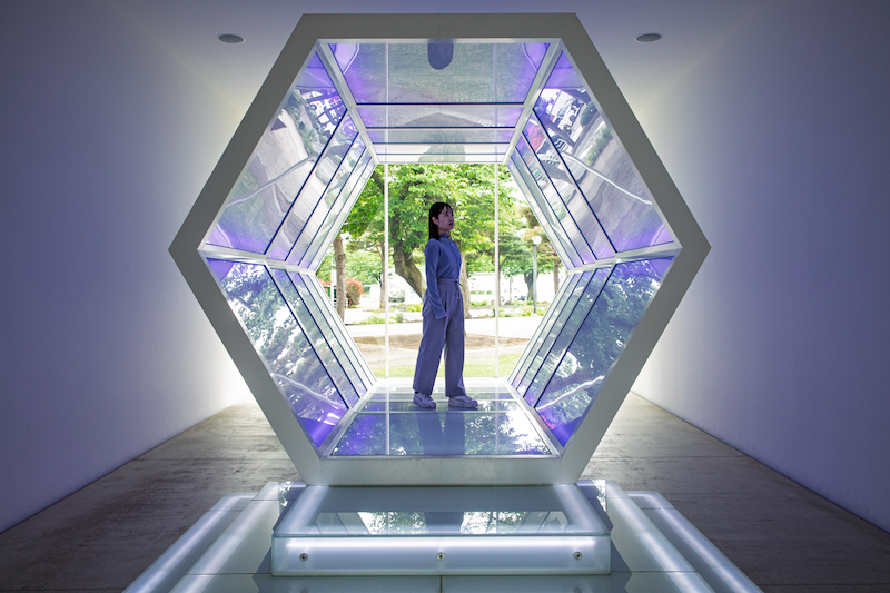 アナ・ラウラ・アエラズ《光の橋》2008年