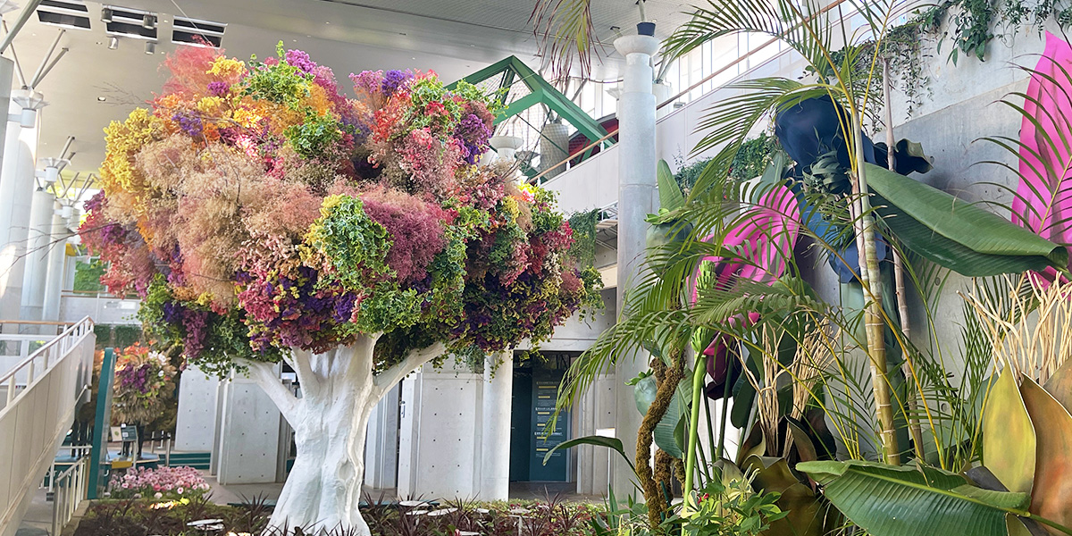 新感覚な植物園「BOTANICA MUSEUM」で五感を使って自然×アートを体験
