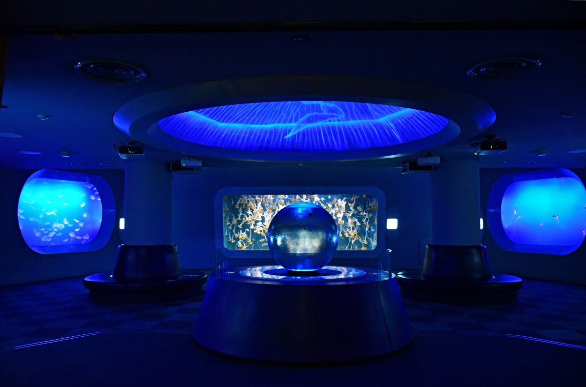 「クラゲファンタジーホール」/©︎新江ノ島水族館