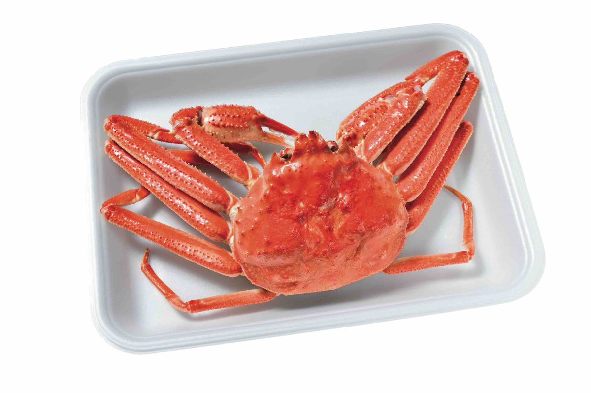 「カニ各種」時価