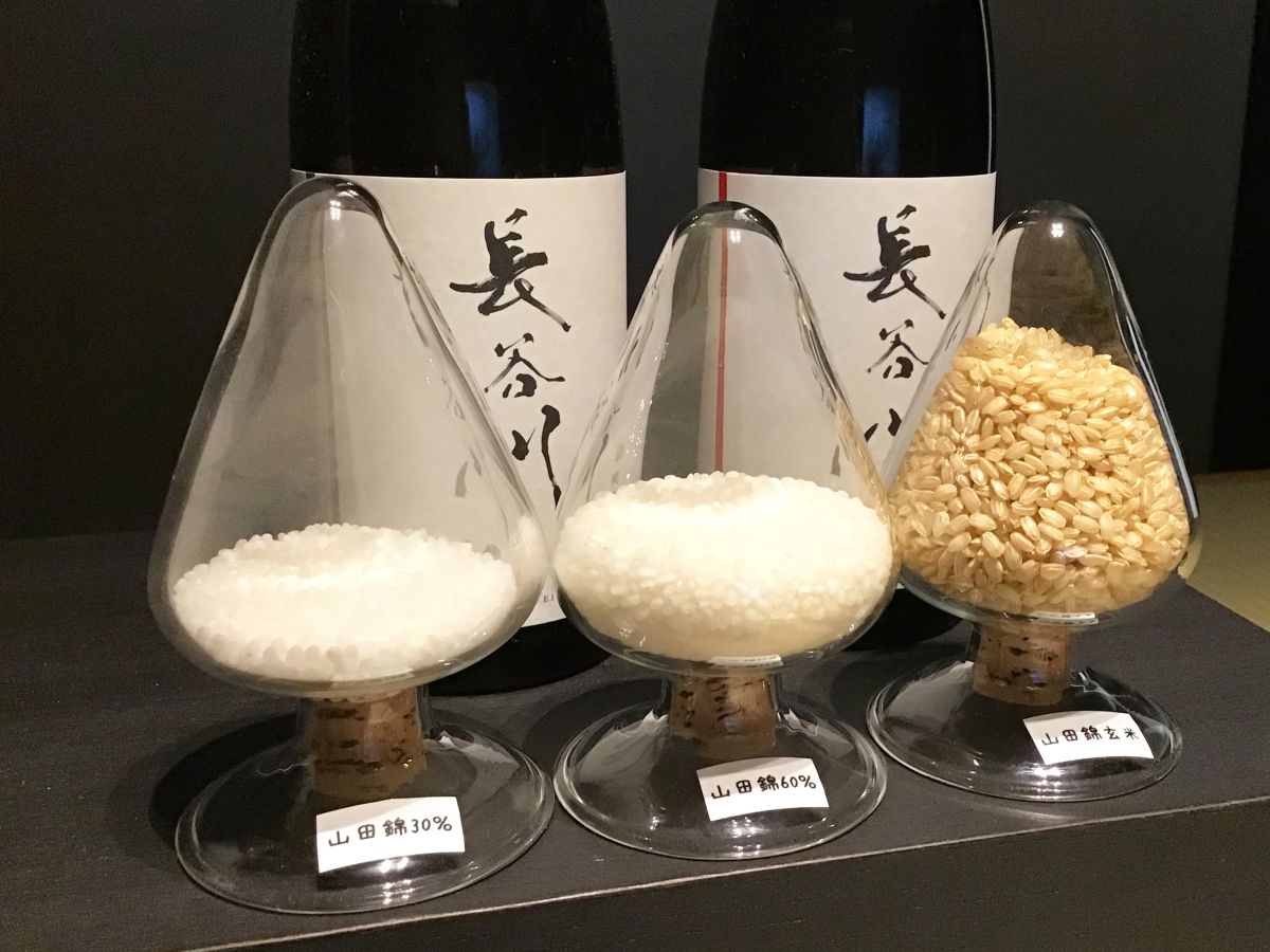 写真提供:六本木栄雅 六本木