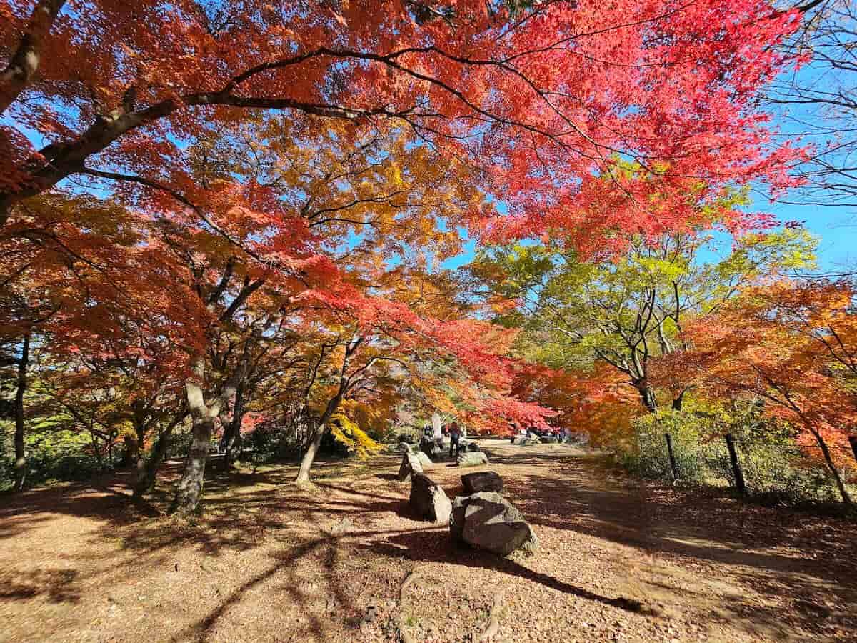 嵐山町観光協会