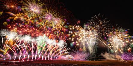 新潟県のおすすめ花火大会、2025年の開催・中止は？