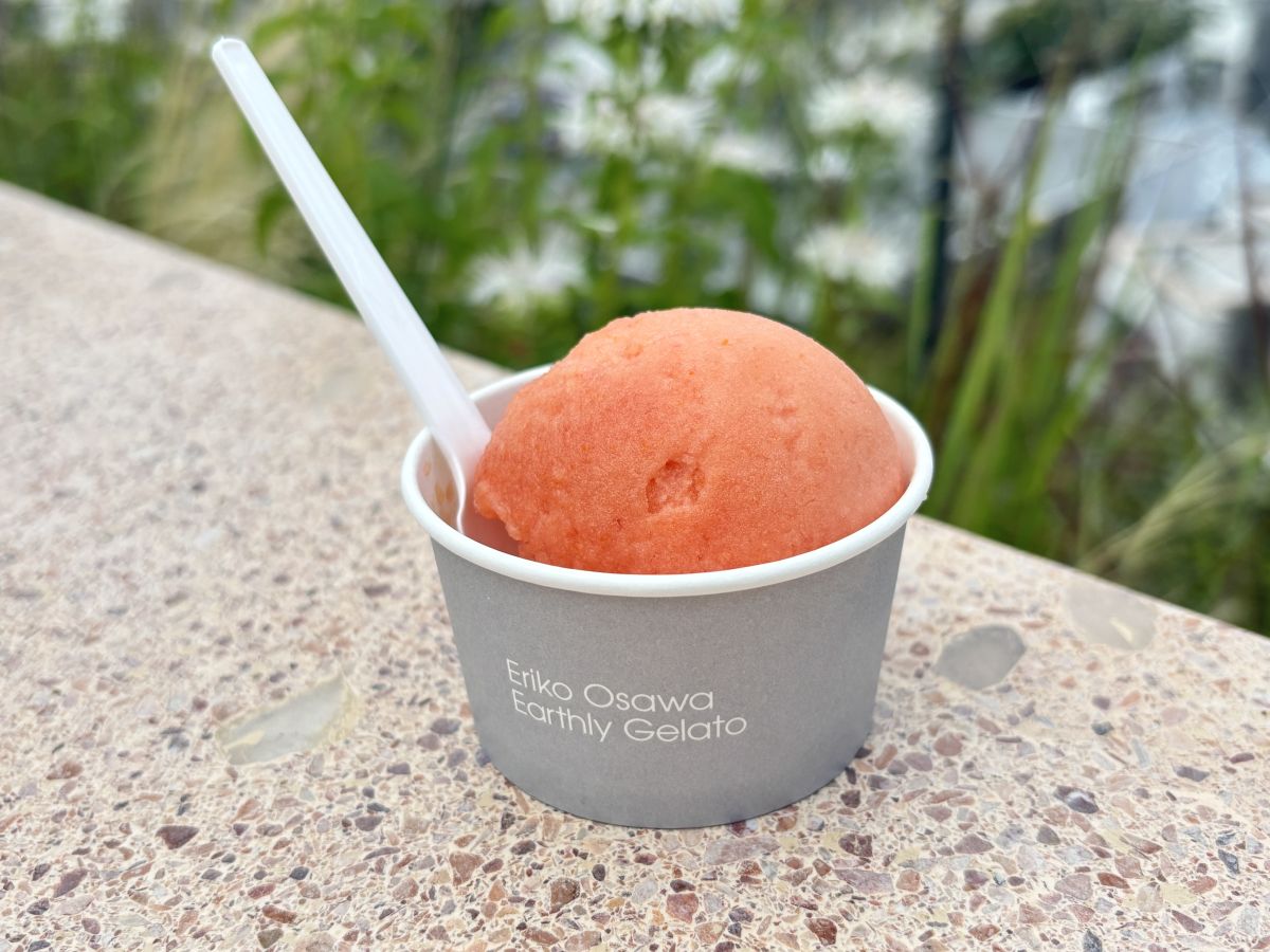 「愛媛県産ブラッドオレンジ&宮城県さとうファームさんのフルーツトマト」