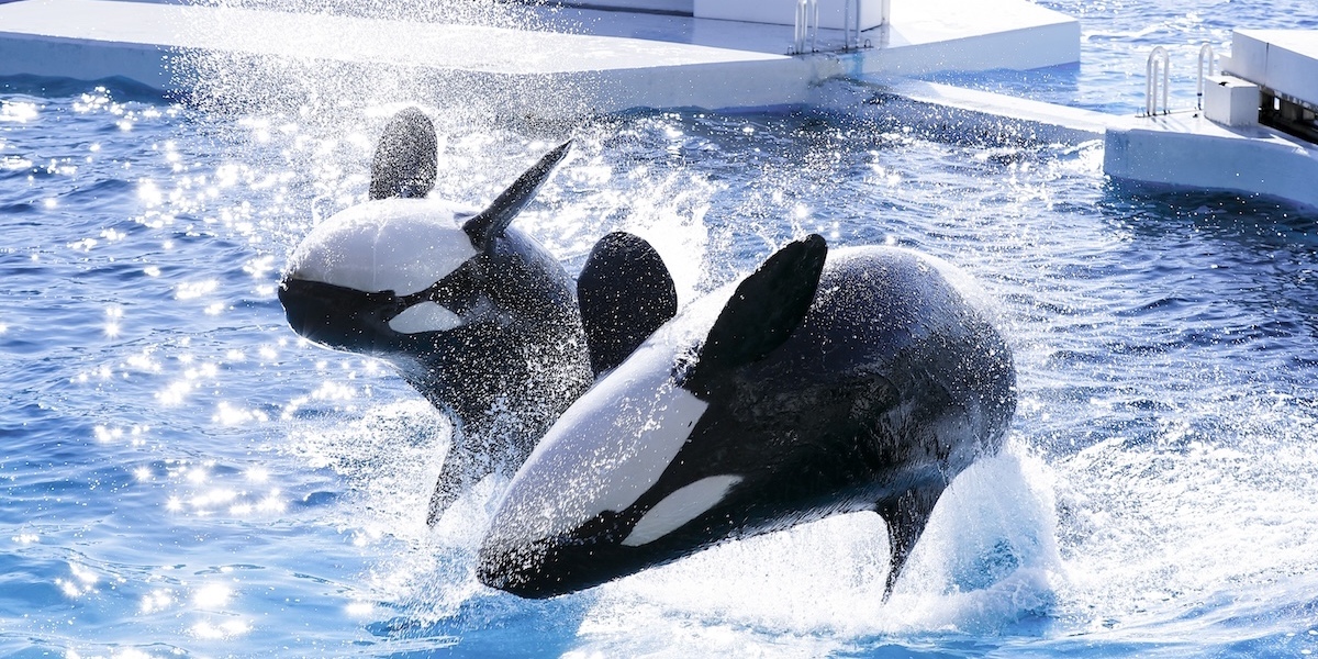 千葉県の観光スポットおすすめ31選！ 絶対外せない人気観光名所から穴場まで