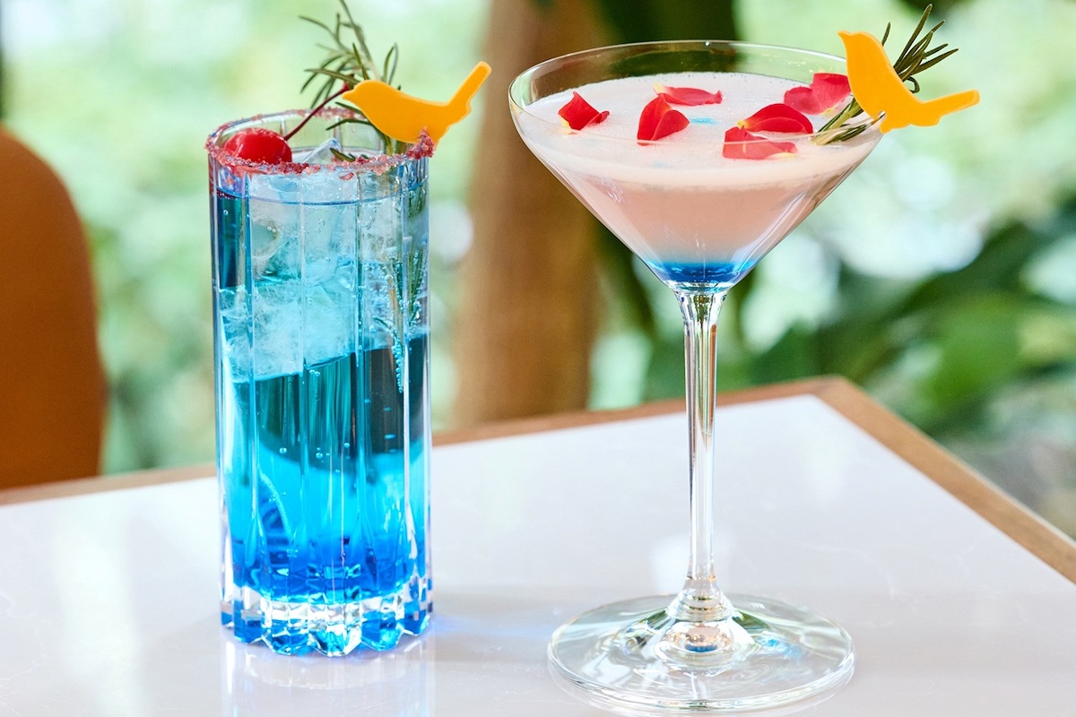 左から「アクアネイチャー」、「ホトリア」／© voco 大阪セントラル