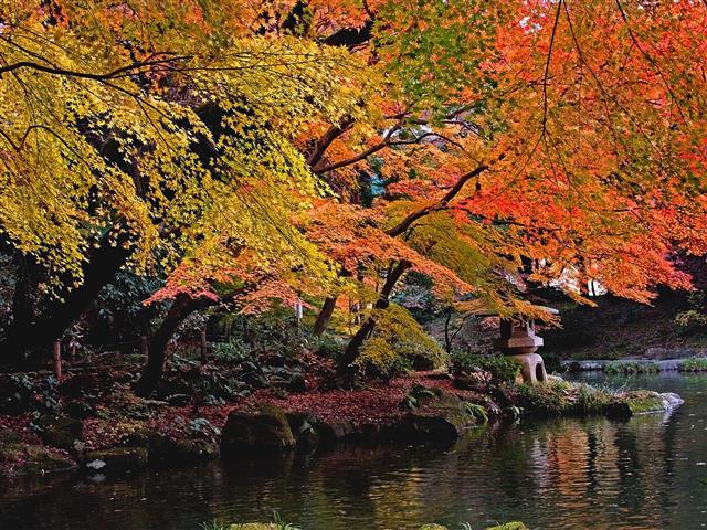 成田市観光協会