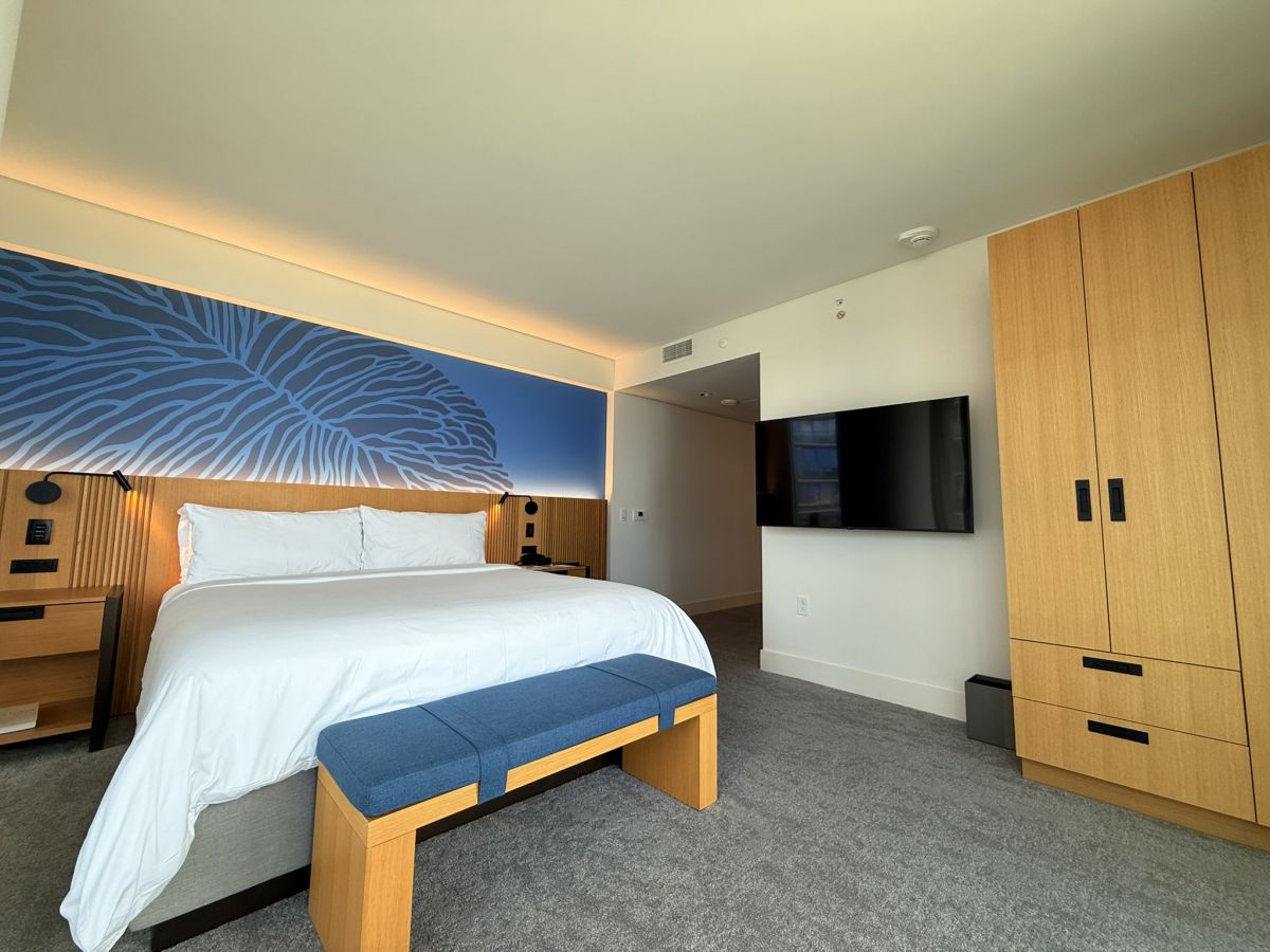 青い壁一面に描かれているのは、シグ・ゼーンによるサンゴをモチーフにしたアート