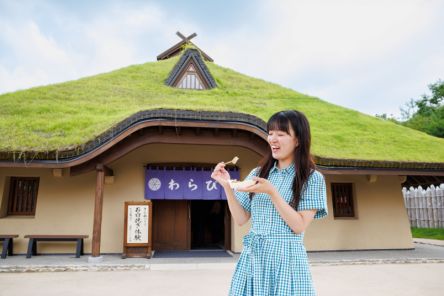 【2025年夏・ジブリパーク 最新情報】夏だけのメニューや体験が新登場！