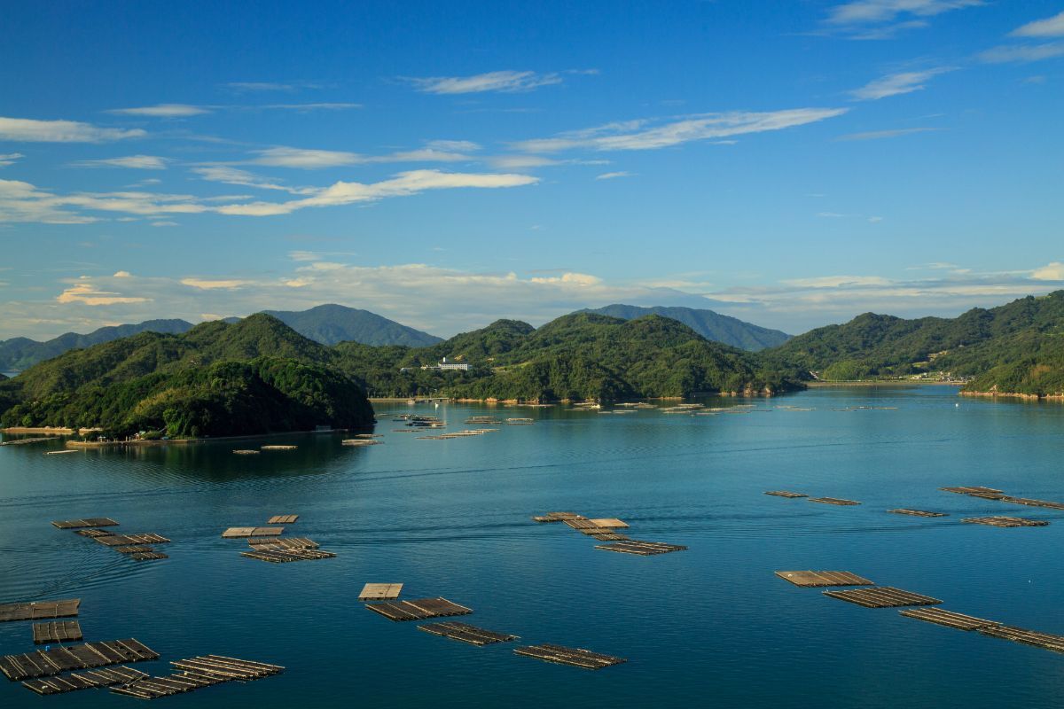 牡蠣筏が浮かぶ瀬戸内海。広島県は牡蠣養殖生産量全国1位!