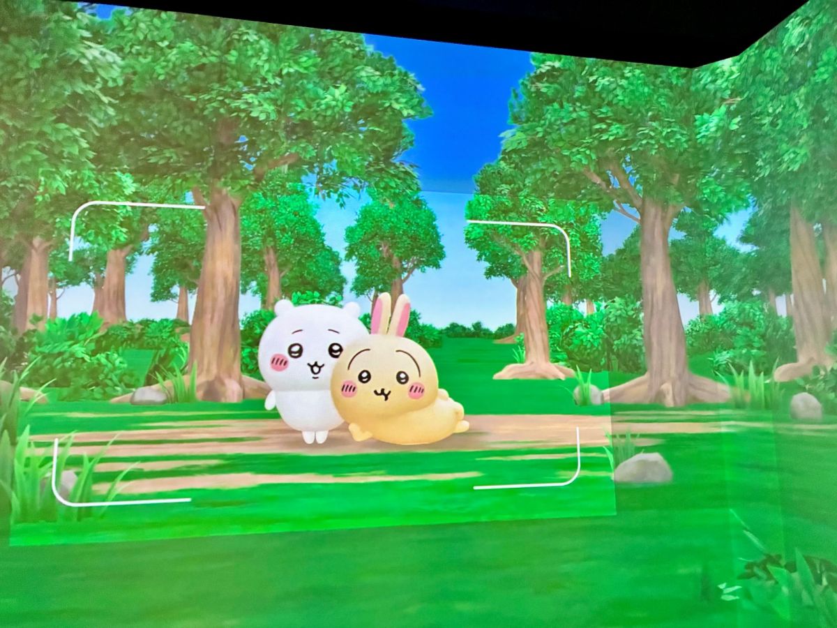 シャッターチャンス2