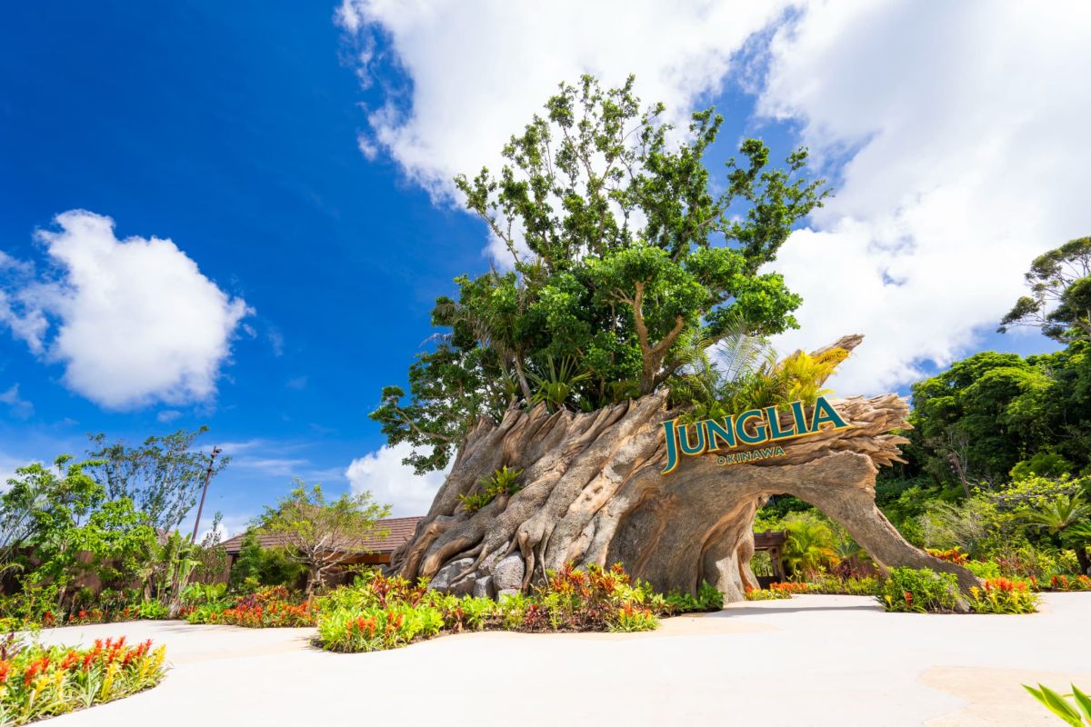 ジャングリアってどんなところ？