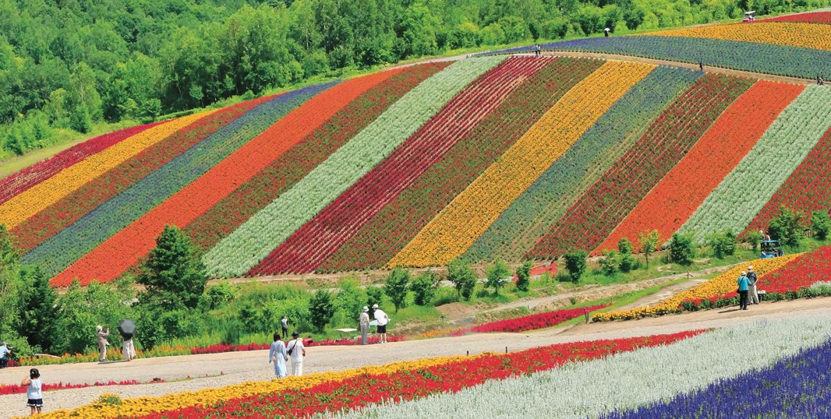 KV_富良野・美瑛