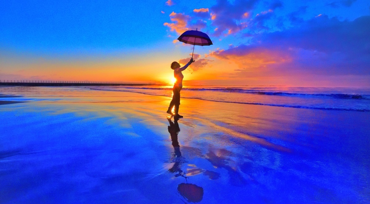 光を透過する小物があるとより美しい写真を撮れる