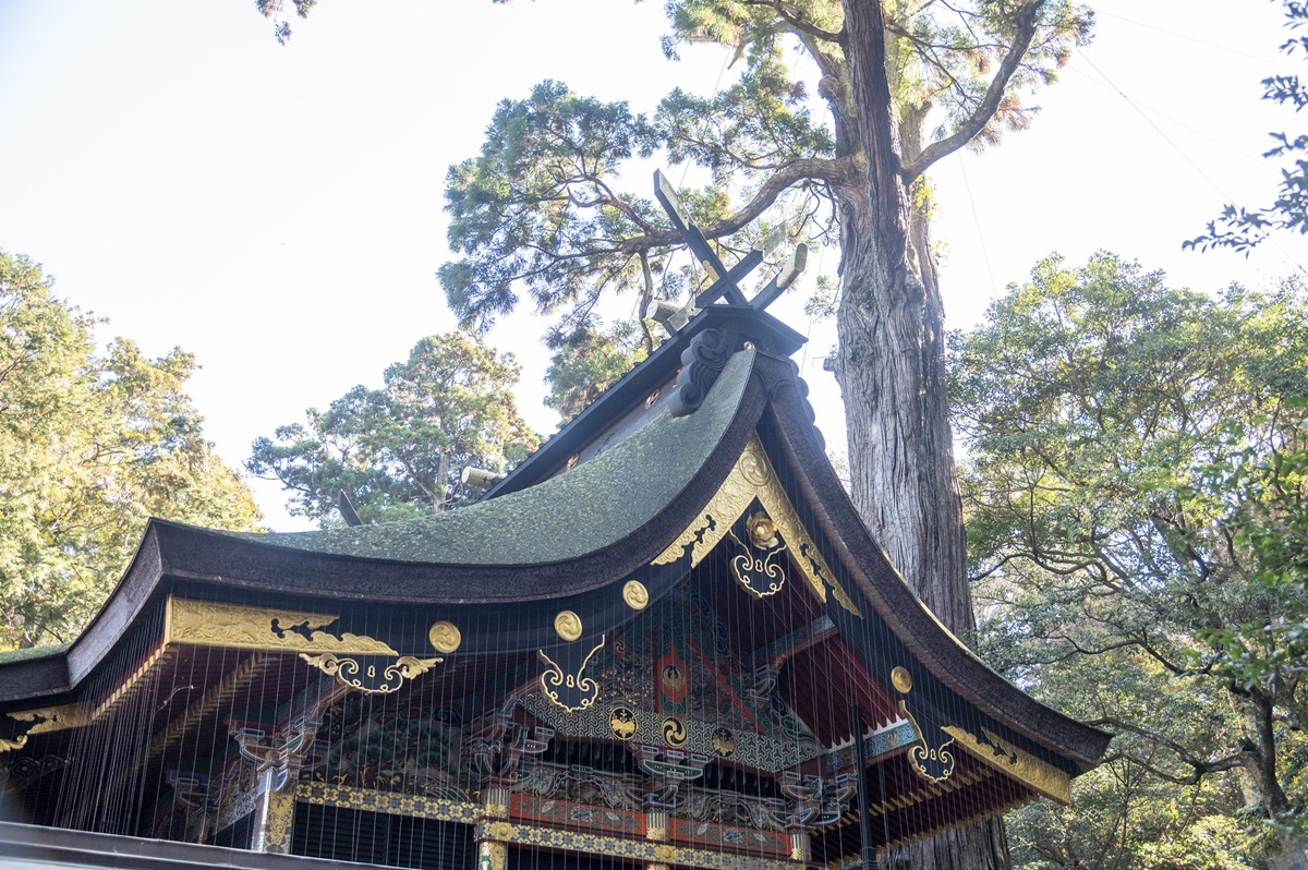 華麗な「本殿」。奥には神功（じんぐう）皇后の安産を支えた腹帯「常陸帯」が収められていると伝わる