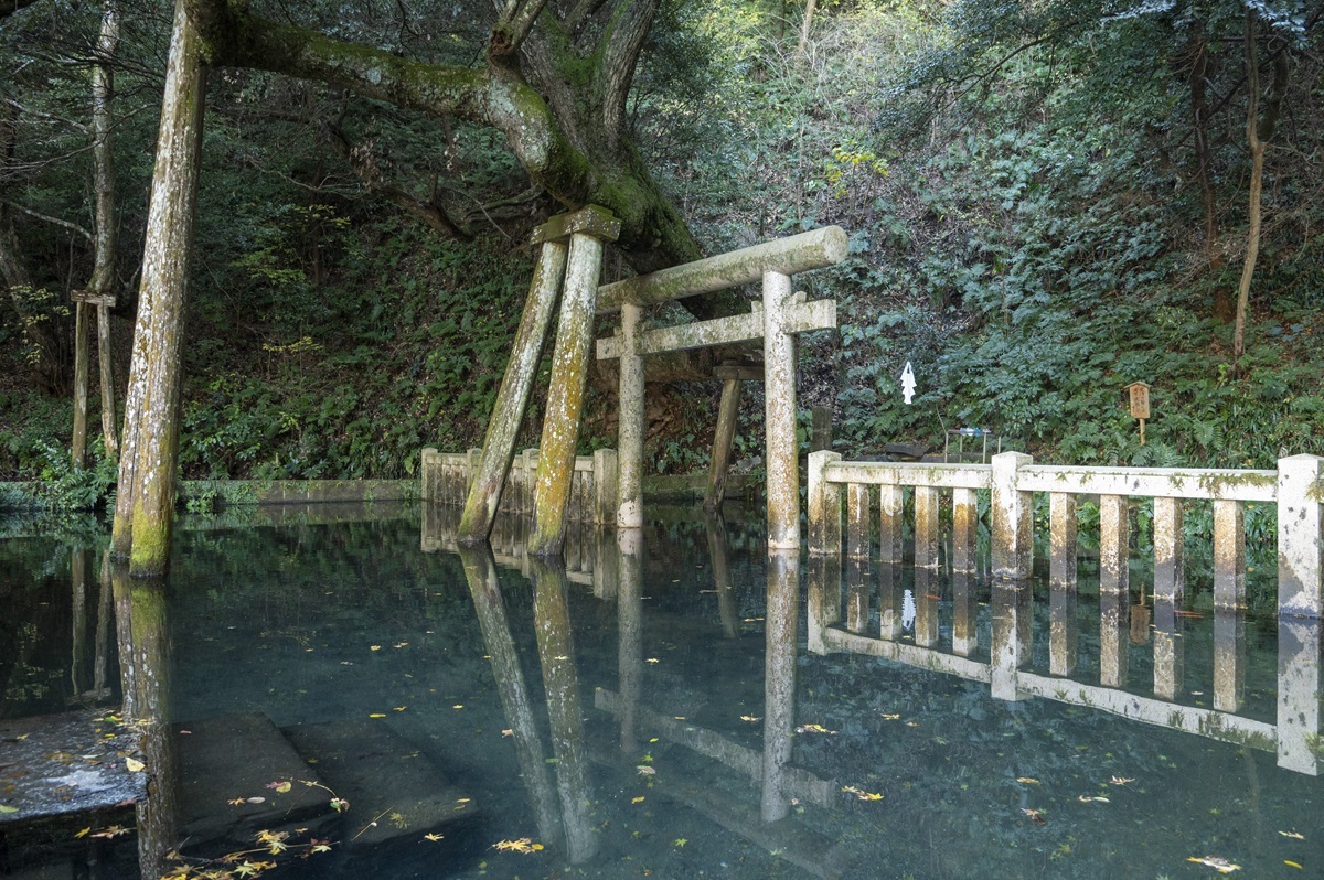 「御手洗池」1日に40万リットル以上湧き、御神水として持ち帰ることもできる