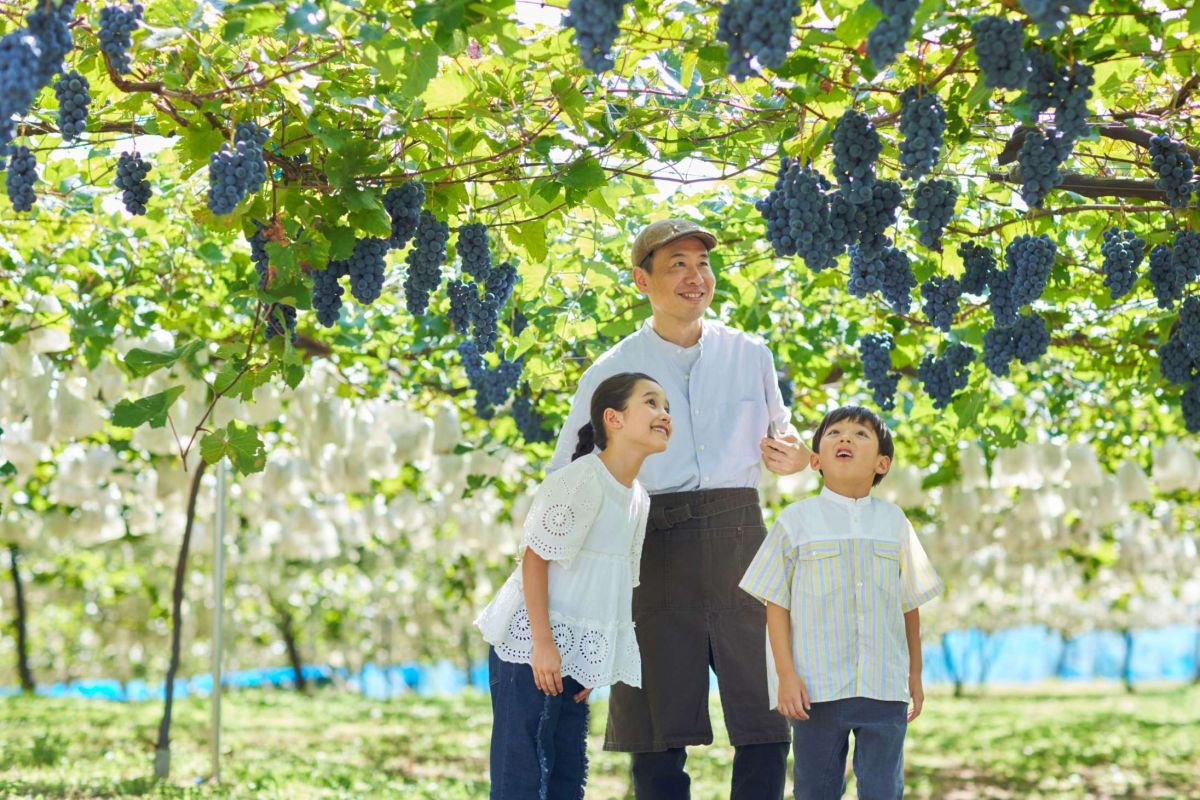 「リゾナーレ八ヶ岳」葡萄Academy