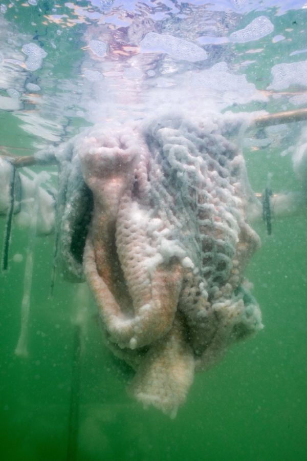 Capacity／Photo:Yotam From