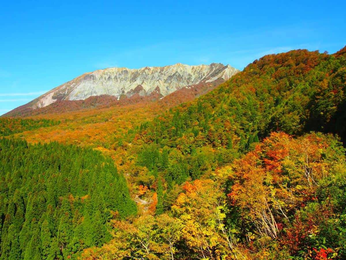 ©️大山観光局