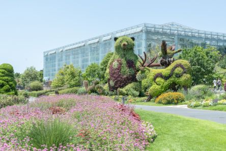 四季折々の花に包まれる「はままつフラワーパーク」で憩いのガーデンタイム