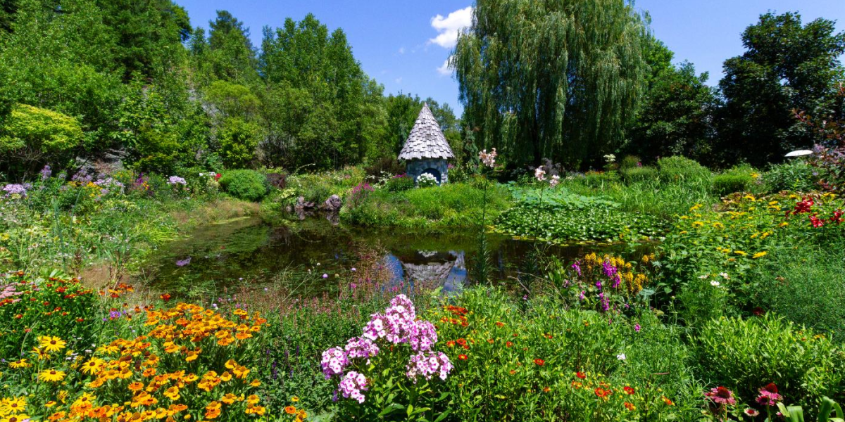 【旭川】美しい花々が咲くガーデナーの聖地「上野ファーム」で癒やしのひとときを