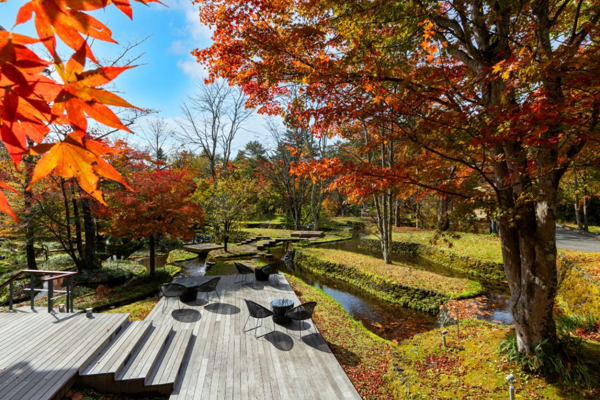 秋の棚田ラウンジ