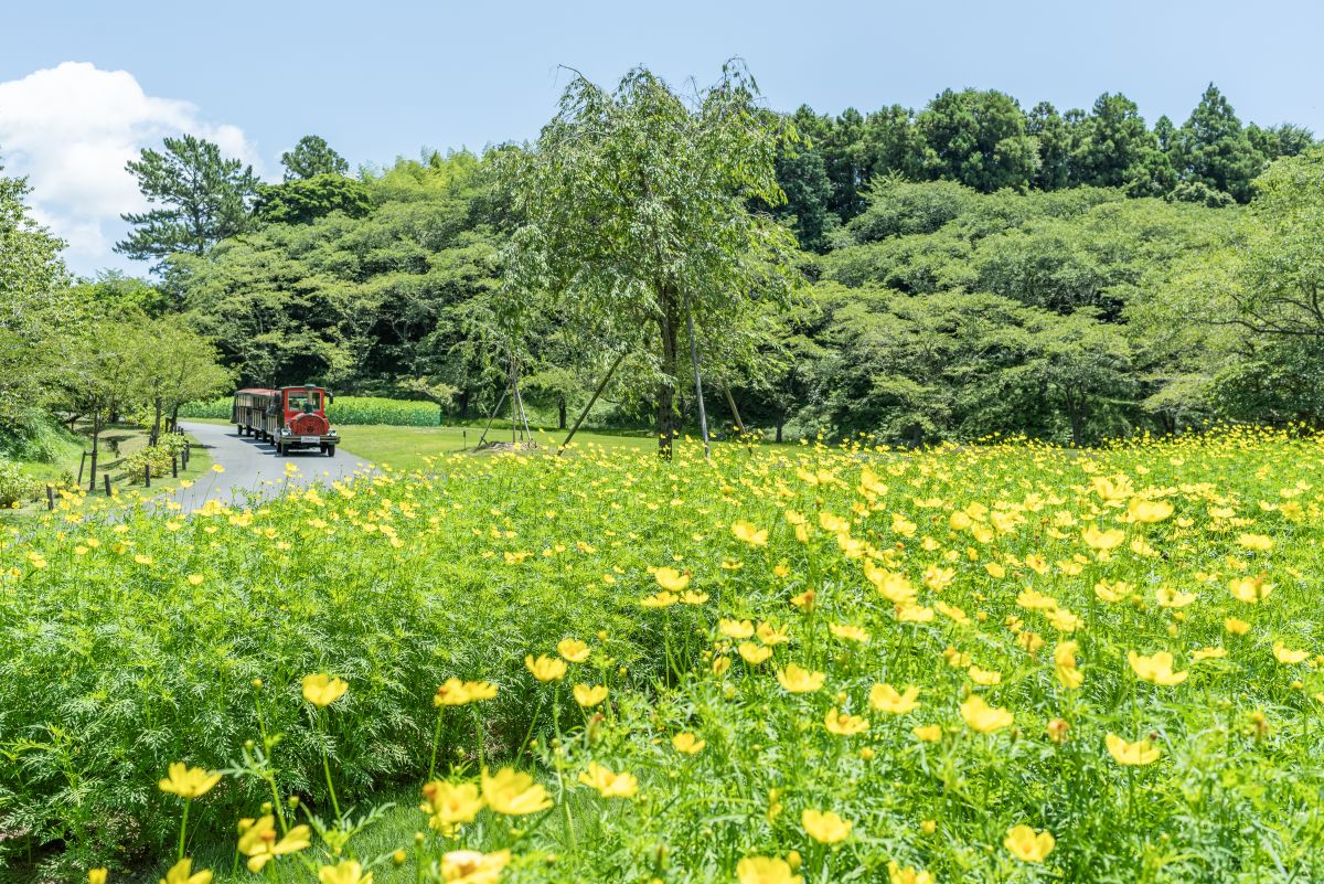 はままつフラワーパークの風景