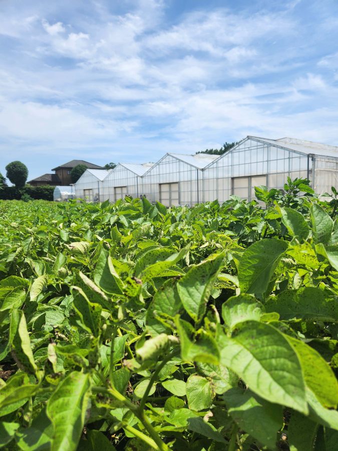 「収穫体験」／©︎THE FARM スロウマウンテン成田