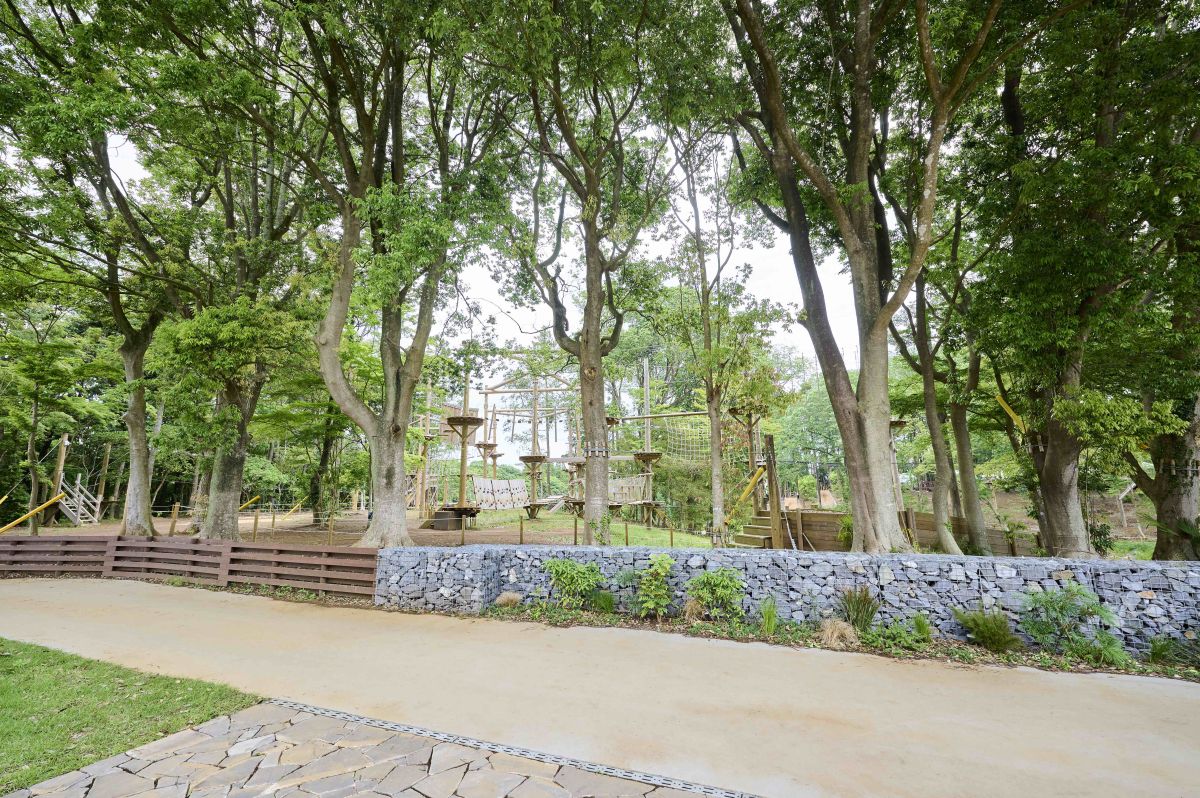 「エアリアルアドベンチャー」／©︎THE FARM スロウマウンテン成田